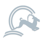 logo-with-shadow logo-with-shadow